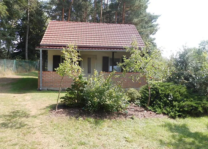 Wald&Wiesengeflüster Zechlinerhütte
